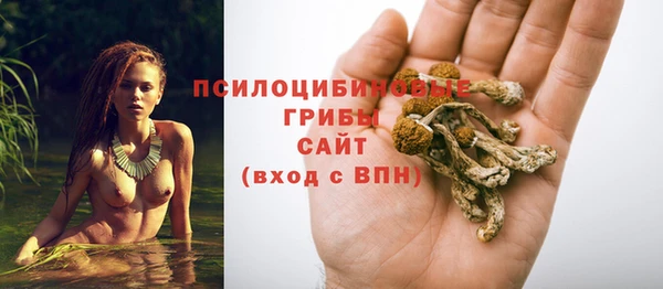 прущие грибы Алзамай