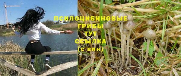 jwh Нефтегорск