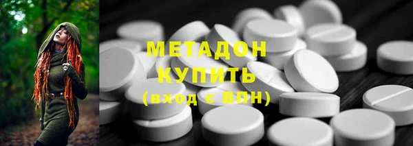 прущие грибы Алзамай