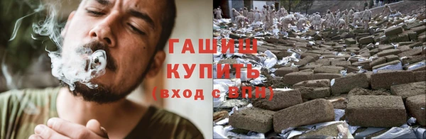 прущие грибы Алзамай