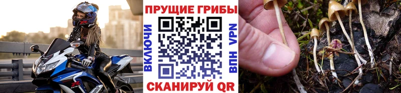 Галлюциногенные грибы прущие грибы  Неман 